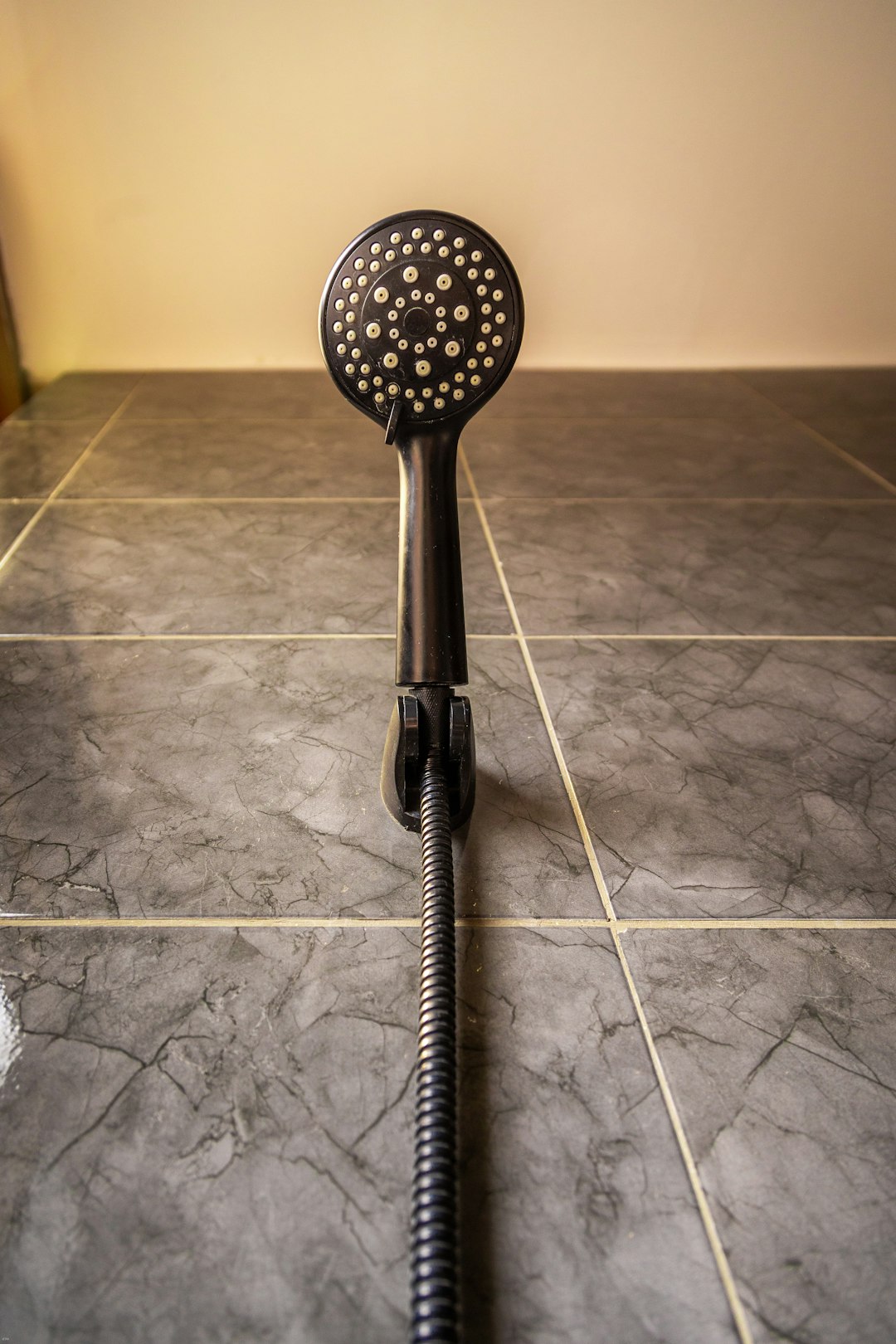 Shower head in a rental property bathroom, a common Legionella risk point